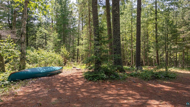 3596 Lake Four Rd W, Ely, MN 55731