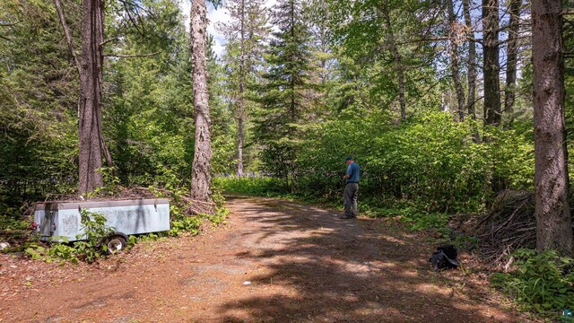 3596 Lake Four Rd W, Ely, MN 55731