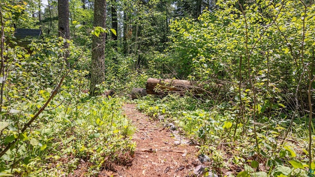 3596 Lake Four Rd W, Ely, MN 55731