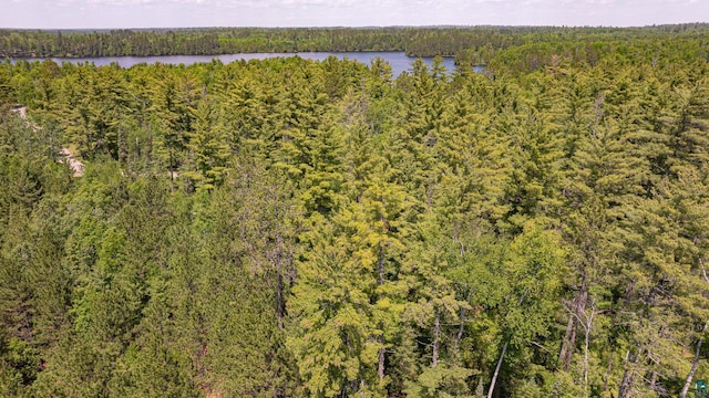 3596 Lake Four Rd W, Ely, MN 55731