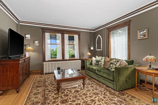 2319 E 4th St, Duluth, MN 55812 - living area with radiator, crown molding, and light wood-style flooring