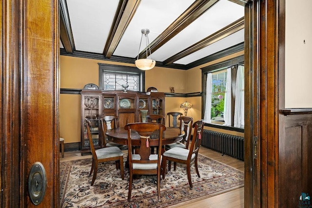 2319 E 4th St, Duluth, MN 55812 - dining area with radiator, wood finished floors, and crown molding