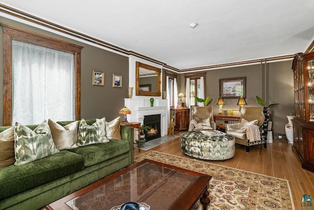 2319 E 4th St, Duluth, MN 55812 - living area featuring a fireplace with flush hearth, wood finished floors, healthy amount of natural light, and ornamental molding