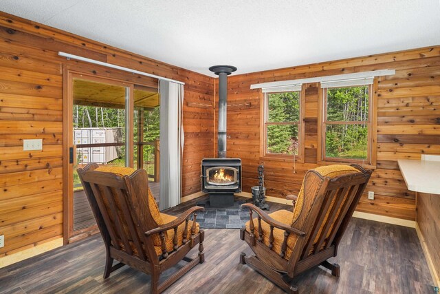 1612 Pequaywan Lake Rd, Ault, MN 55602 - living area with a wood stove, dark wood-type flooring, and wood walls