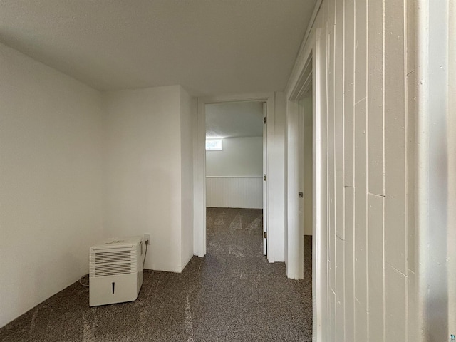 35 E Faribault St, Duluth, MN 55803 - corridor featuring carpet floors