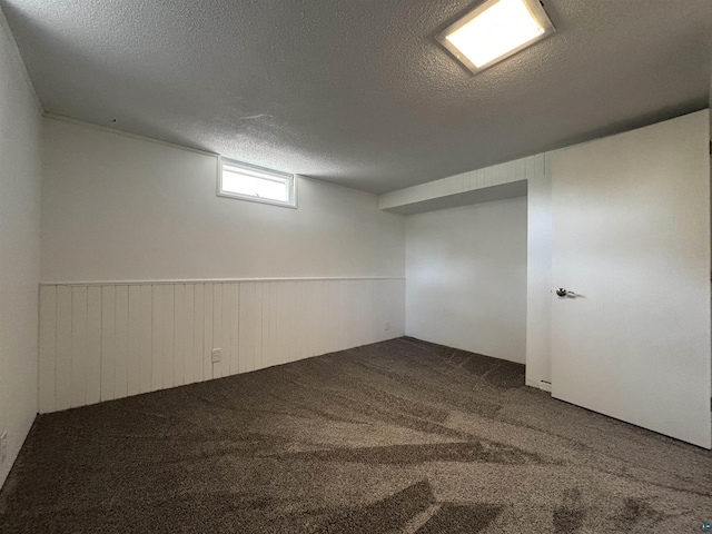 35 E Faribault St, Duluth, MN 55803 - below grade area with a textured ceiling, carpet, and a wainscoted wall