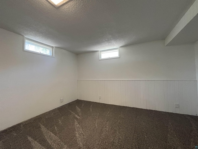 35 E Faribault St, Duluth, MN 55803 - below grade area with dark carpet, a textured ceiling, and a wainscoted wall
