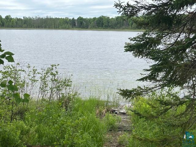 2217 Michael Beach Rd, Zim, MN 55738 - water view with a heavily wooded area