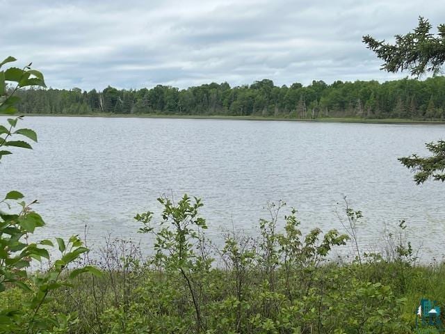 2217 Michael Beach Rd, Zim, MN 55738 - water view with a forest