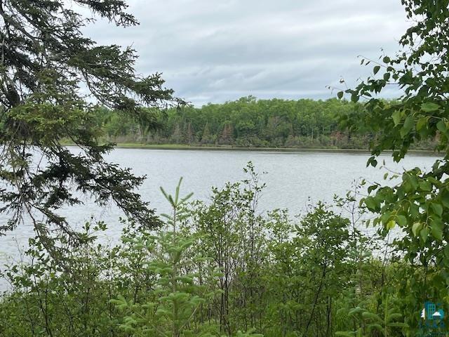 2217 Michael Beach Rd, Zim, MN 55738 - water view with a forest