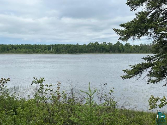 2217 Michael Beach Rd, Zim, MN 55738 - water view with a forest