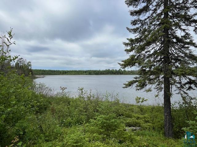 2217 Michael Beach Rd, Zim, MN 55738 - water view featuring a forest
