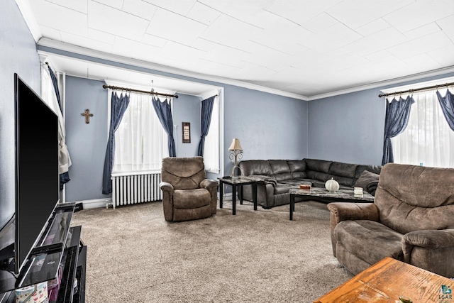 3801 W 5th St, Duluth, MN 55807 - carpeted living area featuring radiator and ornamental molding