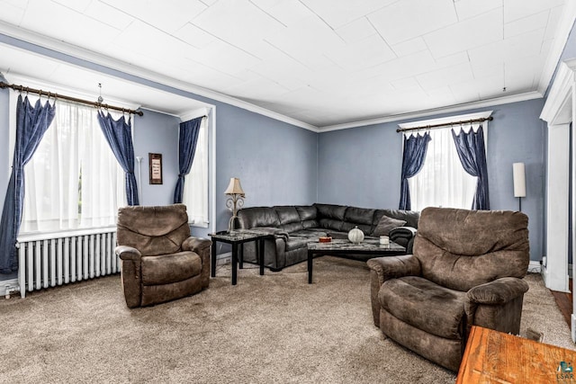 3801 W 5th St, Duluth, MN 55807 - carpeted living room featuring radiator and ornamental molding