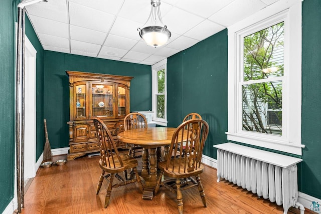 3801 W 5th St, Duluth, MN 55807 - dining area featuring radiator heating unit, wood finished floors, healthy amount of natural light, and a drop ceiling
