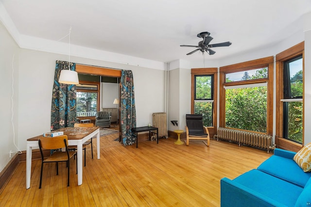 31 W 5th St, Duluth, MN 55806 - dining space with radiator heating unit, light wood-style flooring, and a ceiling fan