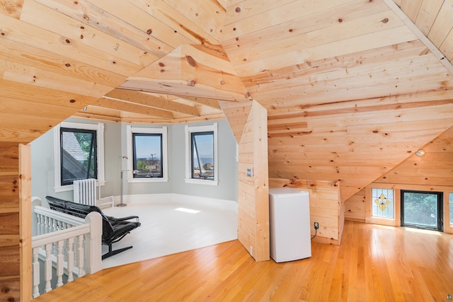 31 W 5th St, Duluth, MN 55806 - additional living space with wood finished floors, wooden walls, and radiator heating unit