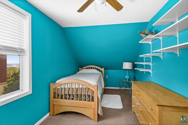 1025 W 3rd St, Duluth, MN 55806 - bedroom with carpet and a ceiling fan