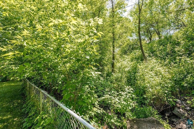 1025 W 3rd St, Duluth, MN 55806 - view of nature