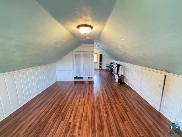 1339 92nd Ave W, Duluth, MN 55808 - bonus room featuring vaulted ceiling, wood finished floors, a textured ceiling, and wooden walls