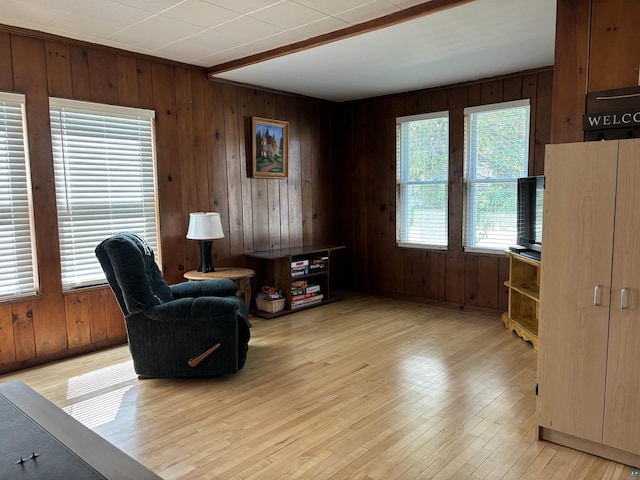 9235 Meadow St, Duluth, MN 55810 - living area with wood walls and light wood-style floors