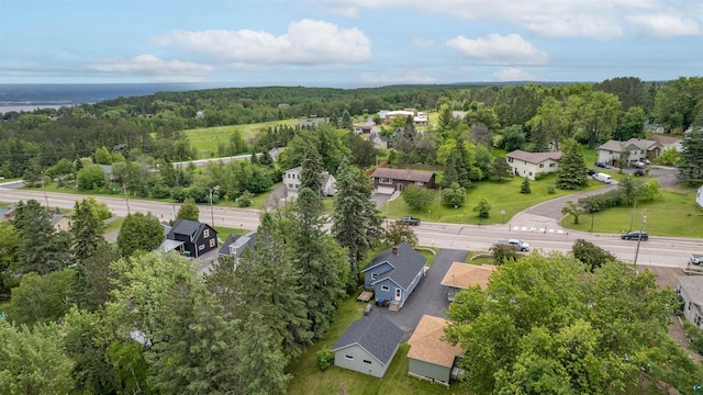 2420 Piedmont Ave, Duluth, MN 55811 - aerial overview of property's location with nearby suburban area and a heavily wooded area