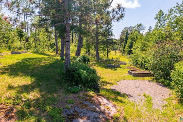 1475 Echo Trl, Ely, MN 55731 - view of grassy yard featuring a garden
