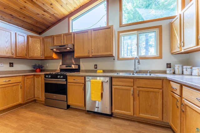 1475 Echo Trl, Ely, MN 55731 - kitchen featuring appliances with stainless steel finishes, lofted ceiling, under cabinet range hood, plenty of natural light, and wooden ceiling