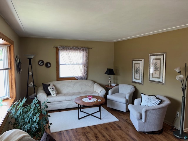 1264 92nd Ave W, Duluth, MN 55808 - living room with wood finished floors