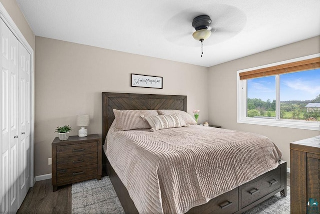 1207 Jean Marie St, Cloquet, MN 55720 - bedroom featuring wood finished floors, a closet, and ceiling fan