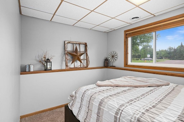 1207 Jean Marie St, Cloquet, MN 55720 - bedroom featuring a paneled ceiling and carpet flooring