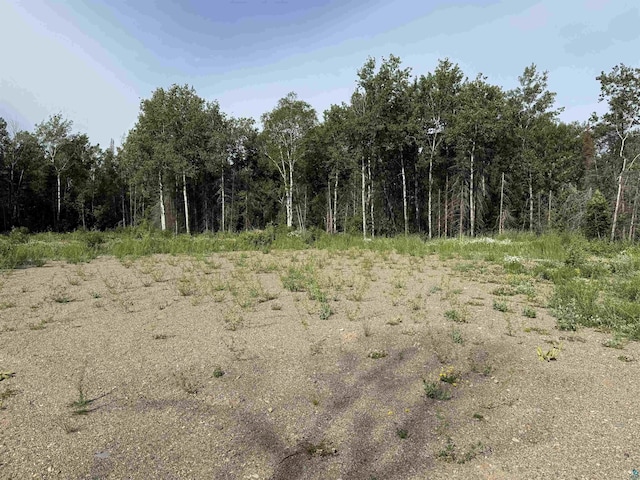 2101 Sibley Ct, Ely, MN 55731