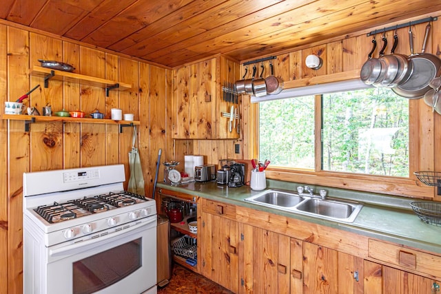 14575 Jackpine Trl, Ely, MN 55731 - kitchen with white gas stove, wooden ceiling, open shelves, and wood walls