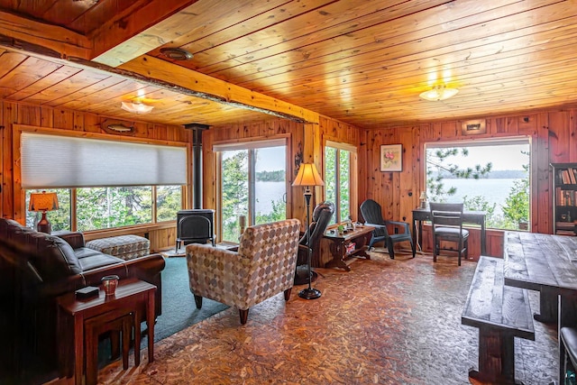14575 Jackpine Trl, Ely, MN 55731 - living area with a wood stove, wood ceiling, wooden walls, and a water view