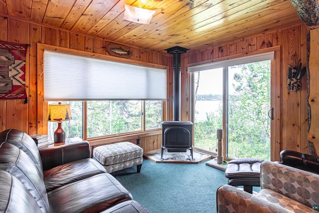14575 Jackpine Trl, Ely, MN 55731 - living room featuring wooden walls, a wood stove, and carpet floors