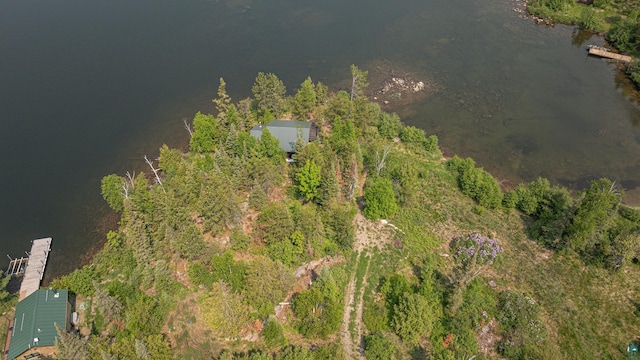 14575 Jackpine Trl, Ely, MN 55731 - aerial view of property's location