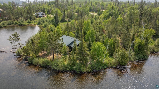 14575 Jackpine Trl, Ely, MN 55731 - view of subject property featuring a nearby body of water
