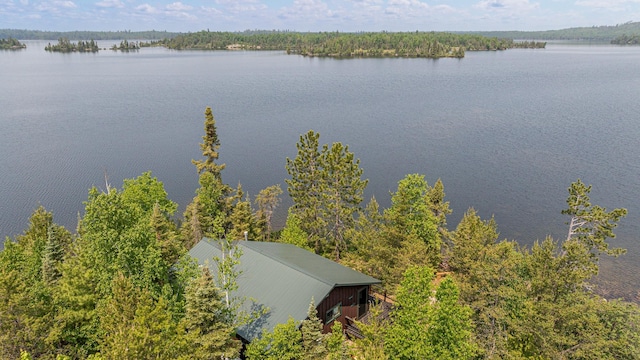 14575 Jackpine Trl, Ely, MN 55731 - view from above of property featuring a large body of water