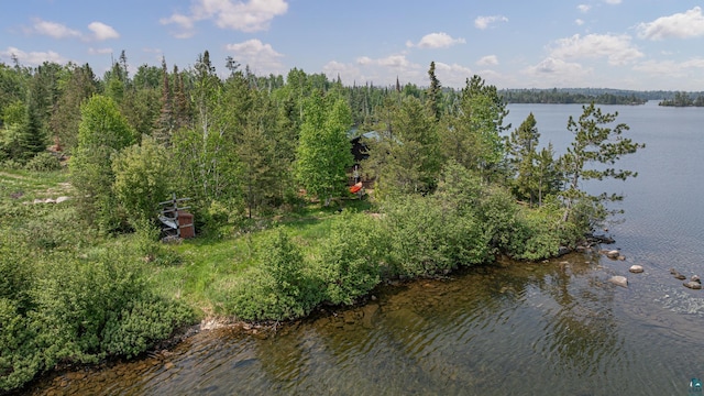 14575 Jackpine Trl, Ely, MN 55731 - water view