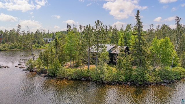 14575 Jackpine Trl, Ely, MN 55731 - water view