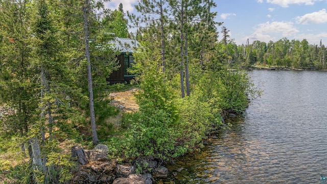 14575 Jackpine Trl, Ely, MN 55731 - water view with a heavily wooded area