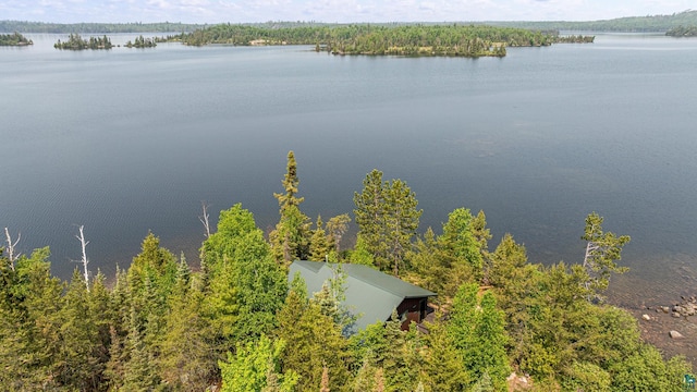 14575 Jackpine Trl, Ely, MN 55731 - water view with a heavily wooded area