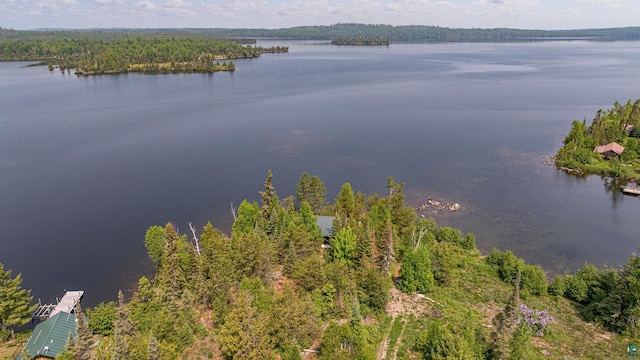 14575 Jackpine Trl, Ely, MN 55731 - water view featuring a heavily wooded area