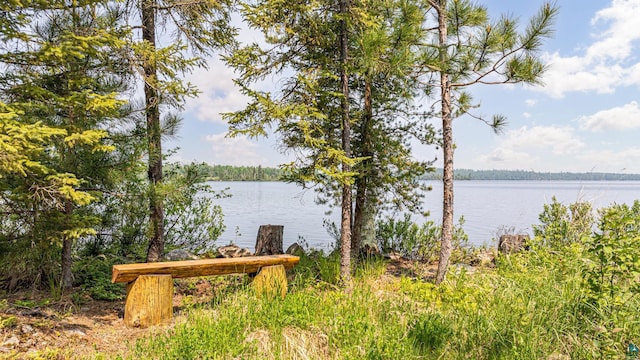 14575 Jackpine Trl, Ely, MN 55731 - water view