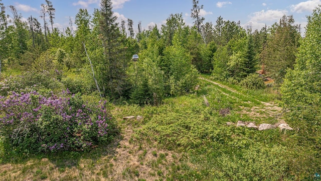 14575 Jackpine Trl, Ely, MN 55731 - view of woods