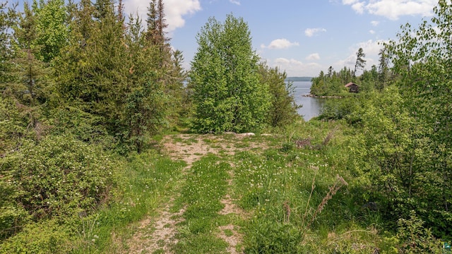 14575 Jackpine Trl, Ely, MN 55731 - view of local wilderness with a large body of water