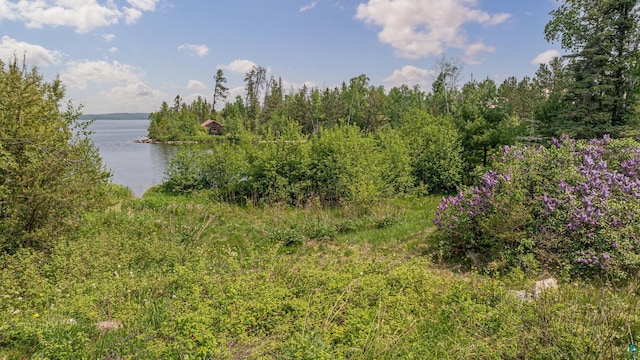 14575 Jackpine Trl, Ely, MN 55731 - water view