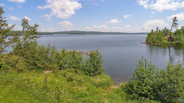 14575 Jackpine Trl, Ely, MN 55731 - water view