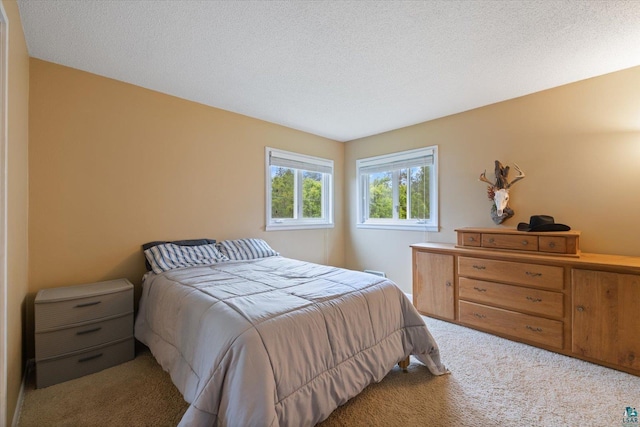 2323 Catskill St, Duluth, MN 55811 - bedroom featuring carpet flooring