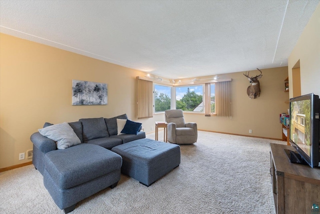 2323 Catskill St, Duluth, MN 55811 - living area with carpet floors and a textured ceiling